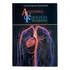 Anatomia E Fisiologia Humana: Estruturas E Funções De Drª Fernanda Pantaleão B. Cavalcante Série Enfermagem Editora Corpus Capa Mole Edição 2022 Em Português 2022