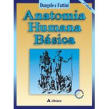 Anatomia Humana Básica, De Fattini, Carlo Américo. Editora Atheneu Ltda, Capa Mole Em Português, 2001