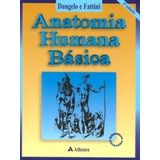 Anatomia Humana Basica 