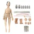 Anatomic Tzj 0502 sr Manequim Adulto Bissexual Básico Para Treino De Enfermagem E Rcp