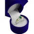 Anel De Formatura Veterinária Prata 950 Emblemas Ouro 18k