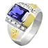 Anel De Grau Formatura Masculino Prata 950 Símbolos Ouro 18k