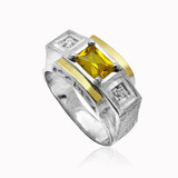 Anel Prata 950 Masculino