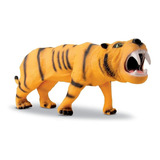 Animal Selvagem Tigre Dente