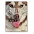 Anjo De Quatro Patas: A Verdadeira Amizade Entre Um Homem E 