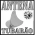 Antena Cromada Shark Tubarao Cromada Decorativa Universal ®