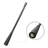 Antena Dual Band De