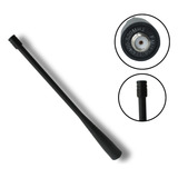 Antena Dual Band P