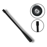 Antena Dual Band P