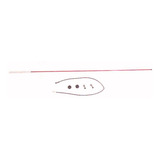 Antena Fibra Vermelha 1