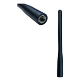Antena Maritima Flexivel Cat