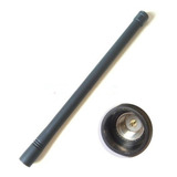 Antena P Radio Vertex
