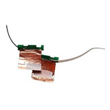 Antena Wireless Wi fi