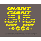 Antigo Grafismo Adesivo Bicicleta