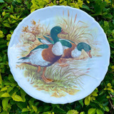 Antigo Prato Decorativos Patos Em Porcelana Francesa Limoges