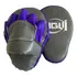 Aparador De Soco  Manopla Foco Concava  Muaythai  Boxe  Mma