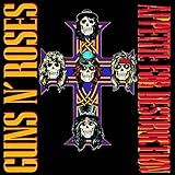 Appetite For Destruction Anniversary