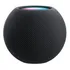 Apple Homepod Mini Con Asistente Virtual Siri Cinza-espacial