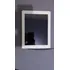 Apple iPad Pro 1st Generation 2015 A1584