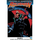 Aquaman: Dan Abnett, De Dan Abnett. Série Aquaman - 1ª Série, Vol. 2. Editora Panini, Capa Dura, Edição 1 Em Português, 2017