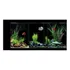 Aquário / Beteira 15 Litros 35x20x25cm Para 3 Bettas