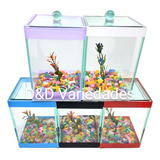 Aquario 10x10x15 P Peixe