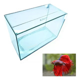 Aquario 19litros Beteira Para