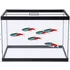 Aquário 20 Litros 35x30x20cm - Vidro 4mm Com Tampa E Vinil P