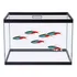 Aquário 20 Litros 40x20x25cm Vidro 4mm Guppy Etc. Com Tampa