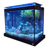 Aquario 44l Marinho Blackbox