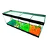 Aquário Beteira 4 Divisões Decorada 40x12x15 4 Peixes Betas