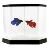 Aquario Beteira 5 5