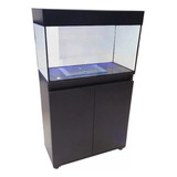 Aquario Com Movel 80x30x40