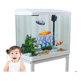 Aquario Compacto Moderno Beteira
