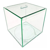 Aquario Cubo Vidro 15x15x15cm