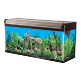 Aquario Curvo Boyu Ea