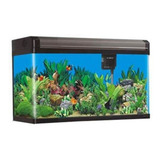 Aquario Curvo Boyu Ea