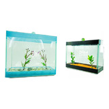 Aquario Duplo Invisivel 20x10x15