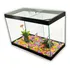 Aquário Duplo N2 Com Divisão Decorado 25x13x18 4 3l 2 Peixes