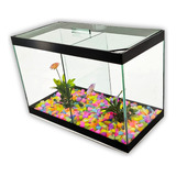 Aquario Duplo N2 Com