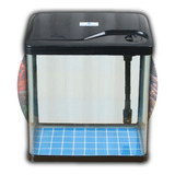 Aquario Moderno 7 Litros
