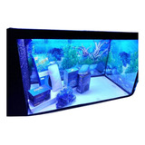 Aquario Novo 200 Litros