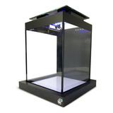 Aquário Quili Blackbox Nano Para Peixe Betta 10 Litros Com Luminária Led 110v 220v