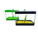 Aquario Retangular 17x9x13 1