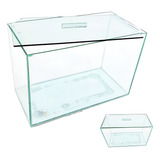 Aquario Vidro Retangular N3