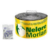 Arame 500m Nelore Farpado