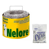 Arame Farpado Morlan 250m