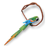 Arara De Galho P