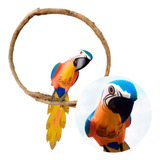 Arara Decoracao Madeira 35cm