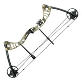 Arco Composto Esportivo Aurora